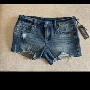 BlankNYC Cutoff Jean Shorts size 24